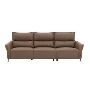 Browrnie Sofa
